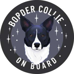Naklejka - border collie smooth ⌀ 10 cm