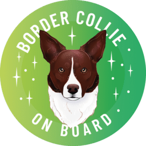 Magnes - border collie smooth ⌀ 10 cm