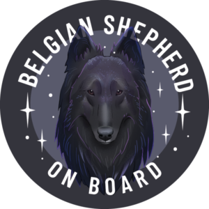 Magnes - owczarek belgijski groenendael ⌀ 10 cm