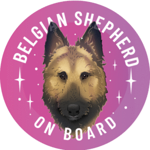 Magnes - owczarek belgijski laekenois ⌀ 10 cm