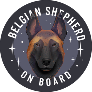 Magnes - owczarek belgijski malinois ⌀ 10 cm