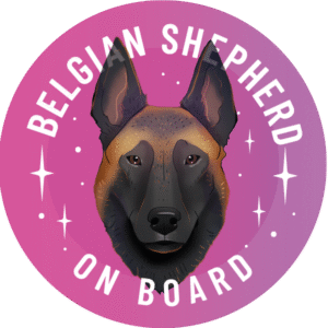 Naklejka - owczarek belgijski malinois ⌀ 10 cm