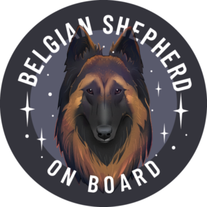 Naklejka - owczarek belgijski tervueren ⌀ 10 cm