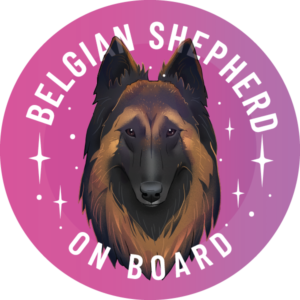 Magnes - owczarek belgijski tervueren ⌀ 10 cm