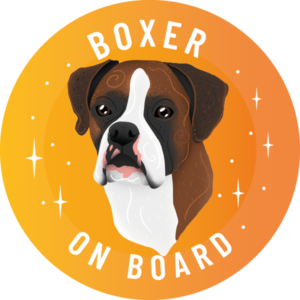 Magnes - bokser ⌀ 10 cm