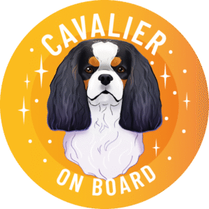 Magnes - cavalier king charles spaniel ⌀ 10 cm