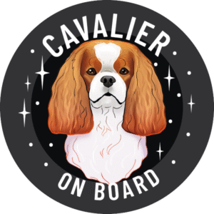 Naklejka - cavalier king charles spaniel ⌀ 10 cm