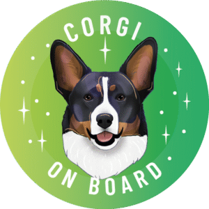 Magnes - welsh corgi cardigan ⌀ 10 cm