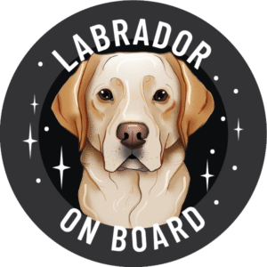 Magnes - labrador retriever ⌀ 10 cm