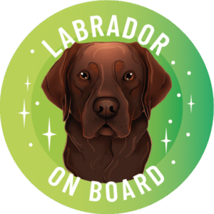 Naklejka - labrador retriever ⌀ 10 cm