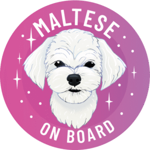 Magnes - maltańczyk ⌀ 10 cm