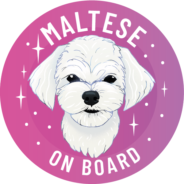 Magnes - maltańczyk ⌀ 10 cm 1 Magnes - maltańczyk ⌀ 10 cm