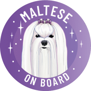 Naklejka - maltańczyk ⌀ 10 cm