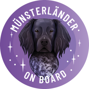 Naklejka - duży munsterlander ⌀ 10 cm