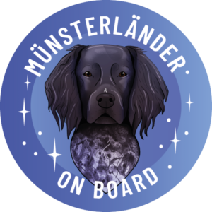 Magnes - duży munsterlander ⌀ 10 cm