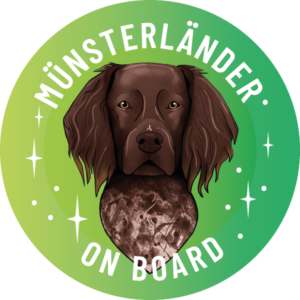 Naklejka - mały munsterlander ⌀ 10 cm