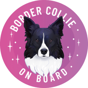 Magnes - border collie medium ⌀ 10 cm