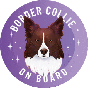 Naklejka - border collie medium ⌀ 10 cm