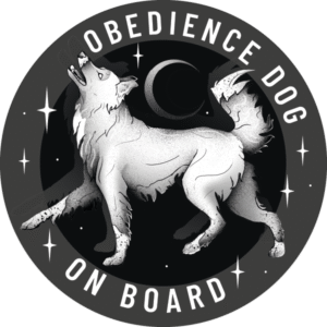 Magnes - obedience ⌀ 10 cm