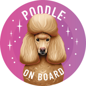 Magnes - pudel ⌀ 10 cm - 4