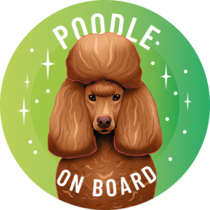 Magnes - pudel ⌀ 10 cm