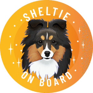 Magnes - owczarek szetlandzki sheltie ⌀ 10 cm