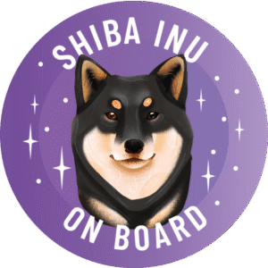 Magnes - shiba inu ⌀ 10 cm