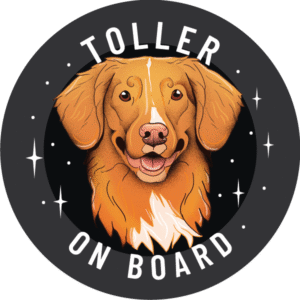 Magnes - nova scotia duck tolling retriever ⌀ 10 cm