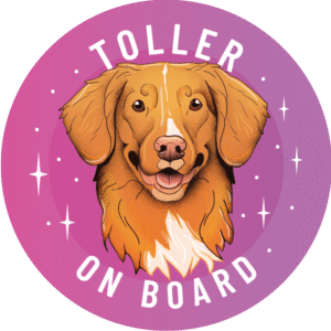 Naklejka - nova scotia duck tolling retriever ⌀ 10 cm
