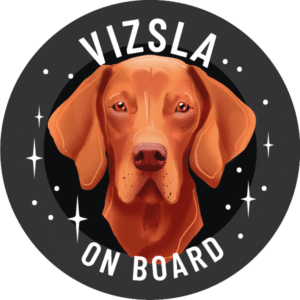 Magnes - wyżeł węgierski krótkowłosy vizsla ⌀ 10 cm