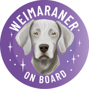 Naklejka - wyżeł weimarski krótkowłosy ⌀ 10 cm