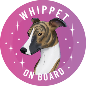 Magnes - chart angielski whippet ⌀ 10 cm