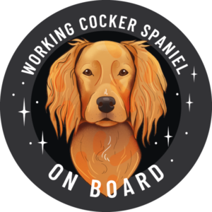 Magnes - working cocker spaniel ⌀ 10 cm