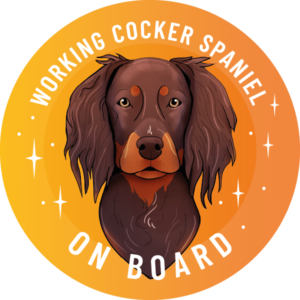 Naklejka - working cocker spaniel ⌀ 10 cm