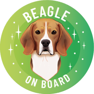 Magnes - beagle ⌀ 10 cm