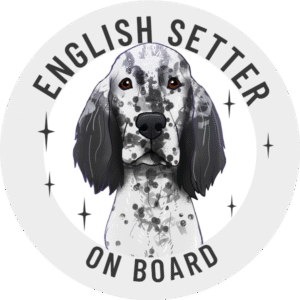 Magnes - seter angielski ⌀ 10 cm