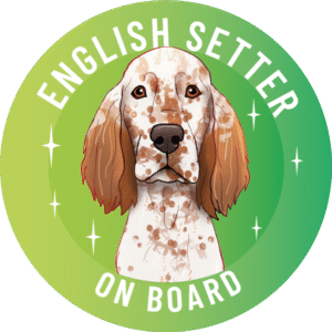 Naklejka - seter angielski ⌀ 10 cm