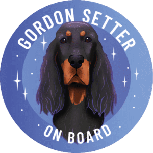 Magnes - seter szkocki gordon ⌀ 10 cm