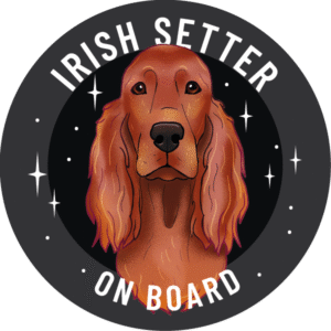 Magnes - seter irlandzki ⌀ 10 cm