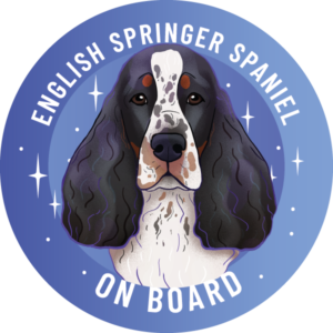 Magnes - springer spaniel angielski ⌀ 10 cm