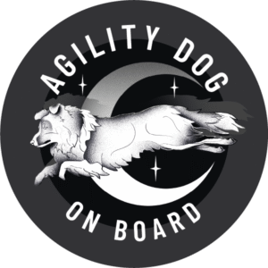 Magnes - agility sheltie ⌀ 10 cm