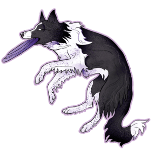 Magnes premium - frisbee border collie ok. 21 x 20 cm