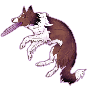 Magnes premium - frisbee border collie ok. 14 x 13 cm