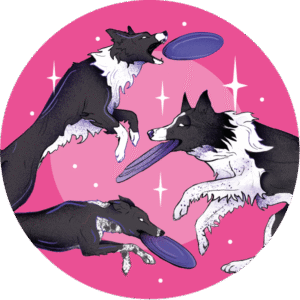 Magnes - frisbee bordery ⌀ 10 cm