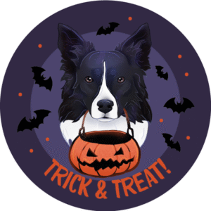 Magnes - Halloween Trick & Treat ⌀ 10 cm