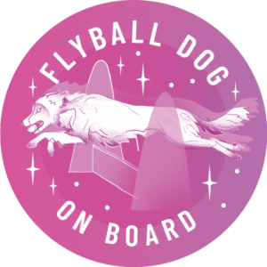 Magnes - flyball border collie ⌀ 10 cm