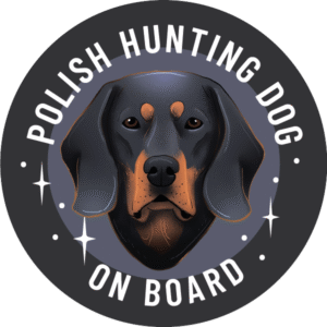 Magnes - gończy polski ⌀ 10 cm