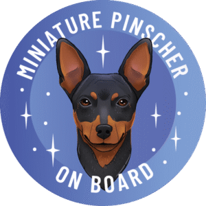 Magnes - pinczer miniaturowy ⌀ 10 cm