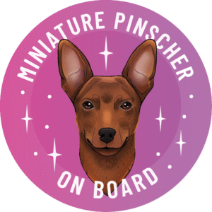 Naklejka - pinczer miniaturowy ⌀ 10 cm