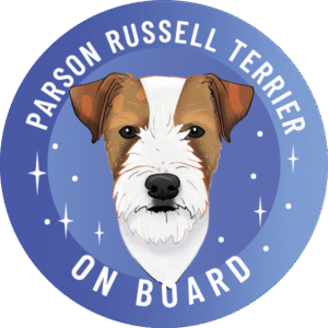 Magnes - parson russell terrier ⌀ 10 cm
